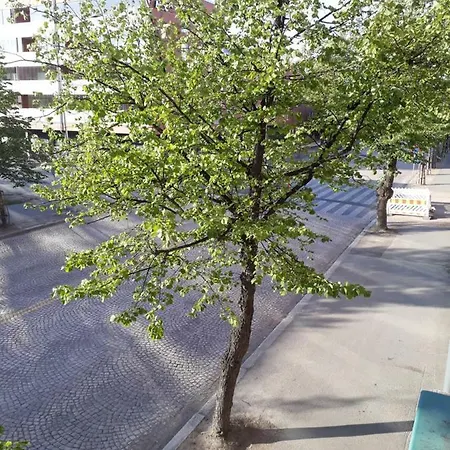 Uusikatu 49